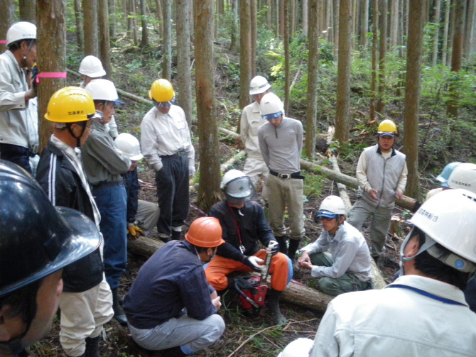林業災害防止安全対策講習で『かかり木処理講習会』を行っている様子です