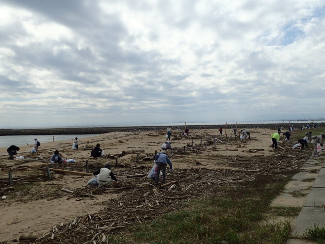 �S�~�E�����|�����̗l�q