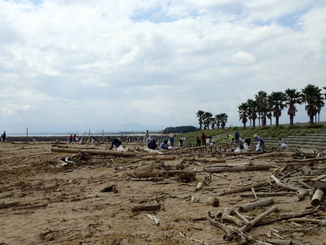 �S�~�E�����|�����̗l�q