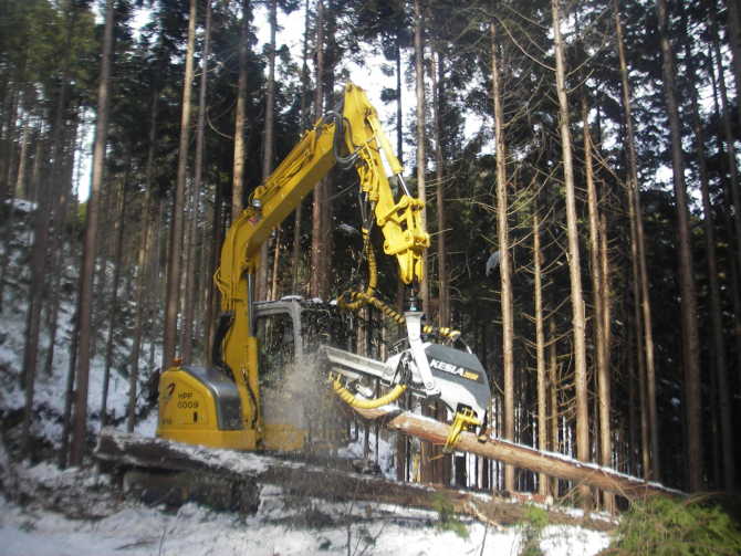 集材した間伐木をH24導入ハーベスタを使って枝払い・造材している様子です【森プロ団地】